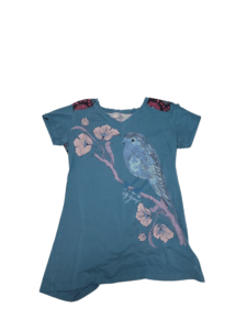Woman’s Small shirt