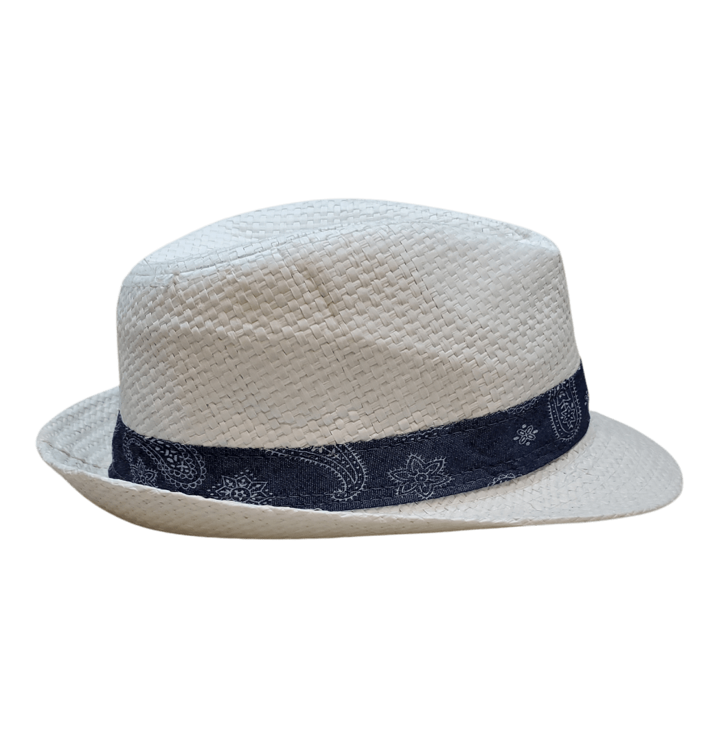 Fedora Hat