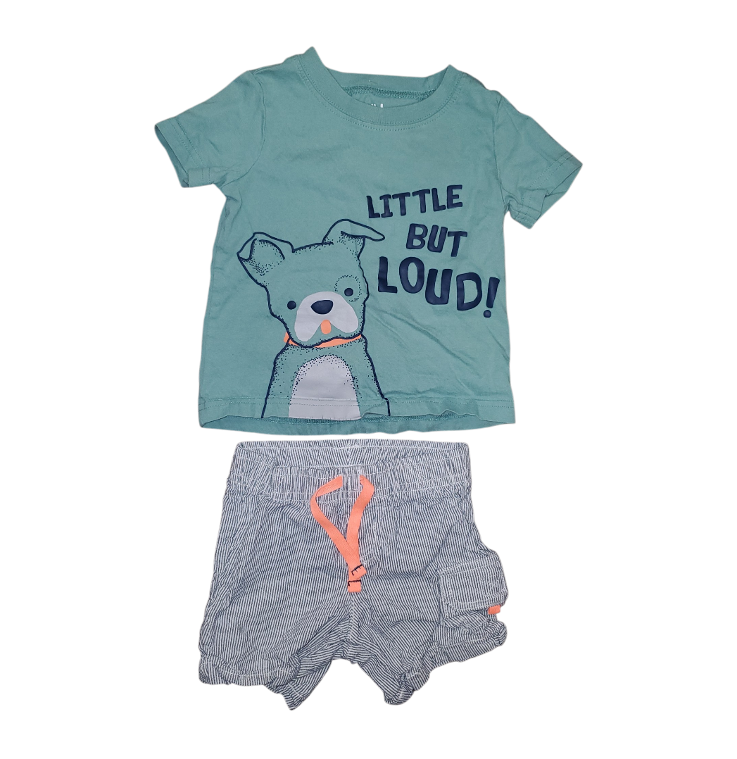 Baby's 18M Carter's Tshirt and Shorts