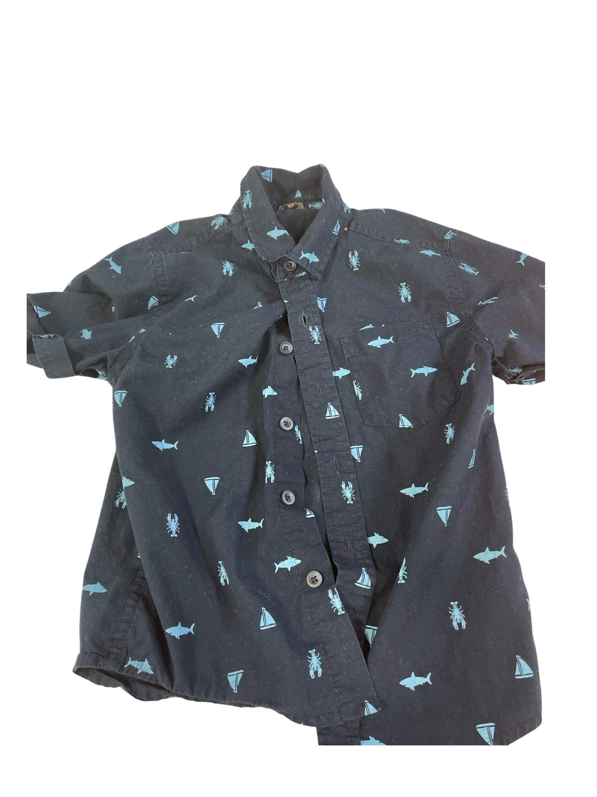 Boys Shirt Size 6