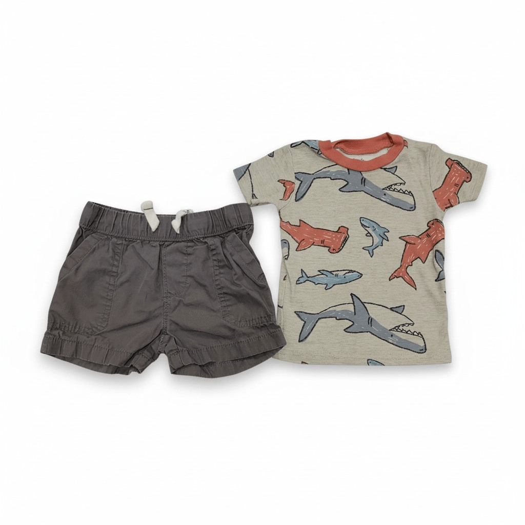 Baby 6m Carter's Outfit