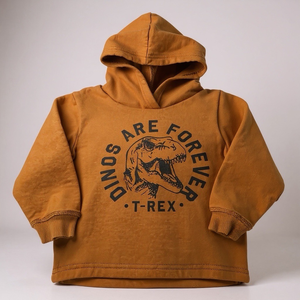 Boys size 2T H&M Hoodie